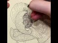 Zeichenprozess einer Mohnblume mit lineare Schraffur