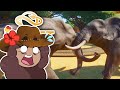 Battle of the BULL Elephants?! 🦒 SAHULA SAFARI • #32