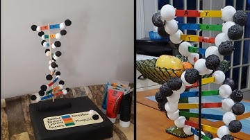 DNA model project / D.I.Y DNA model for your school project / diy ideas by Alizay D.I.Y.
