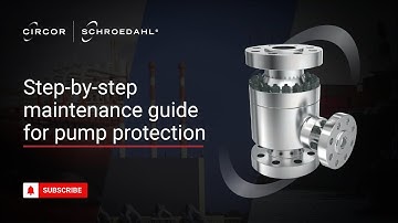 Step-by-step maintenance e-guide for Schroedahl – TDL pump protection
