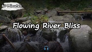 Flowing River Bliss | Meditation and Relaxation