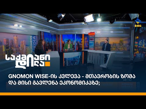 Gnomon Wise-ის კვლევა - მთავრობის ზომა და მისი გავლენა ეკონომიკაზე