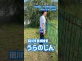 【田川市長選挙 5日目】『うらのじん』田川市伊加利エリア『伊加利地区』周辺の市民の皆様へご挨拶 2026.7.9Thu〜今、走って走って会いにいきます!!!!!〜
