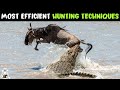 5 Most Efficient Hunting Techniques In The Animal Kingdom