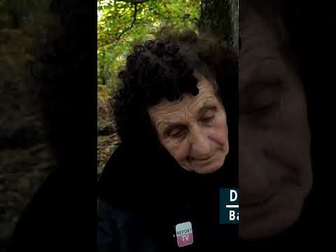 Duart Me Kallo Drane Kola 5 Milion Lekë Të Vjetra Marim çdo Vit Si Familje Nga Gështenjat 