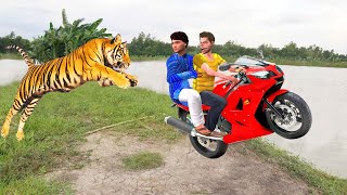 मोटरबाइक बाघ बचाव Motorbike Tiger Rescue Comedy Video Hindi Kahaniya हिंदी कहानियां Comedy Video