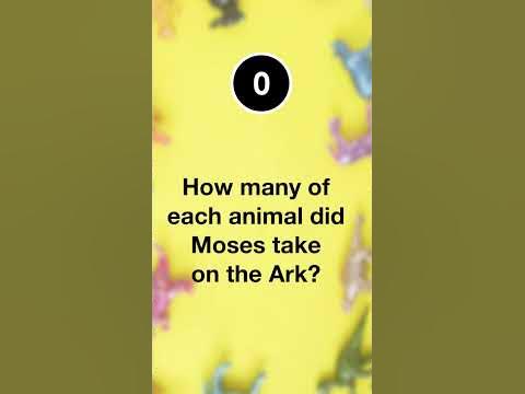 FUNNY BIBLE RIDDLES Part 2 I Play this With your Family! - YouTube
