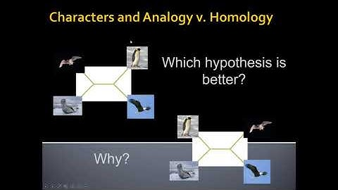 Unit 1 6 1 Homology and Parsimony default