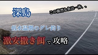 パパアングラー必見 激安撒き餌 で狙う深島のグレ釣り 低水温でも釣れるのか Youtube