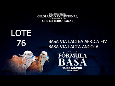 LOTE 76   VIBA 0104   2225 CC