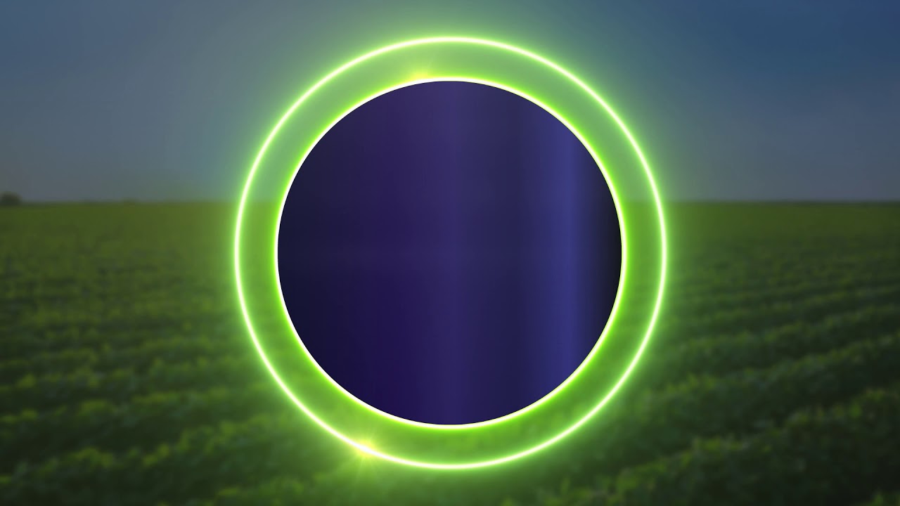 Corum ® + Focus ® Ultra - Specijalna promocija za 2021