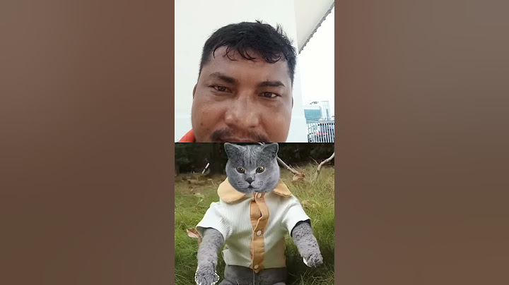 😊 Let's treat The Hedgehog To a Chestnut 🌰Feast 🦔🍭#catvideo #cute #cutekitty #kitty #catm....