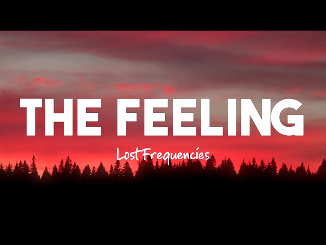 Lost Frequencies - The Feeling (Lyrics) class=