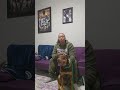 let's talk about dog aggression