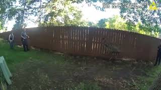 Emu Chase