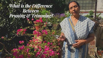 What Is the Difference Between Pruning & Trimming?