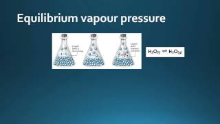 17.1.1 Describe the equilibrium established between a liquid and its own vapour.
