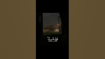 تلاوة خاشعة بدر البشر