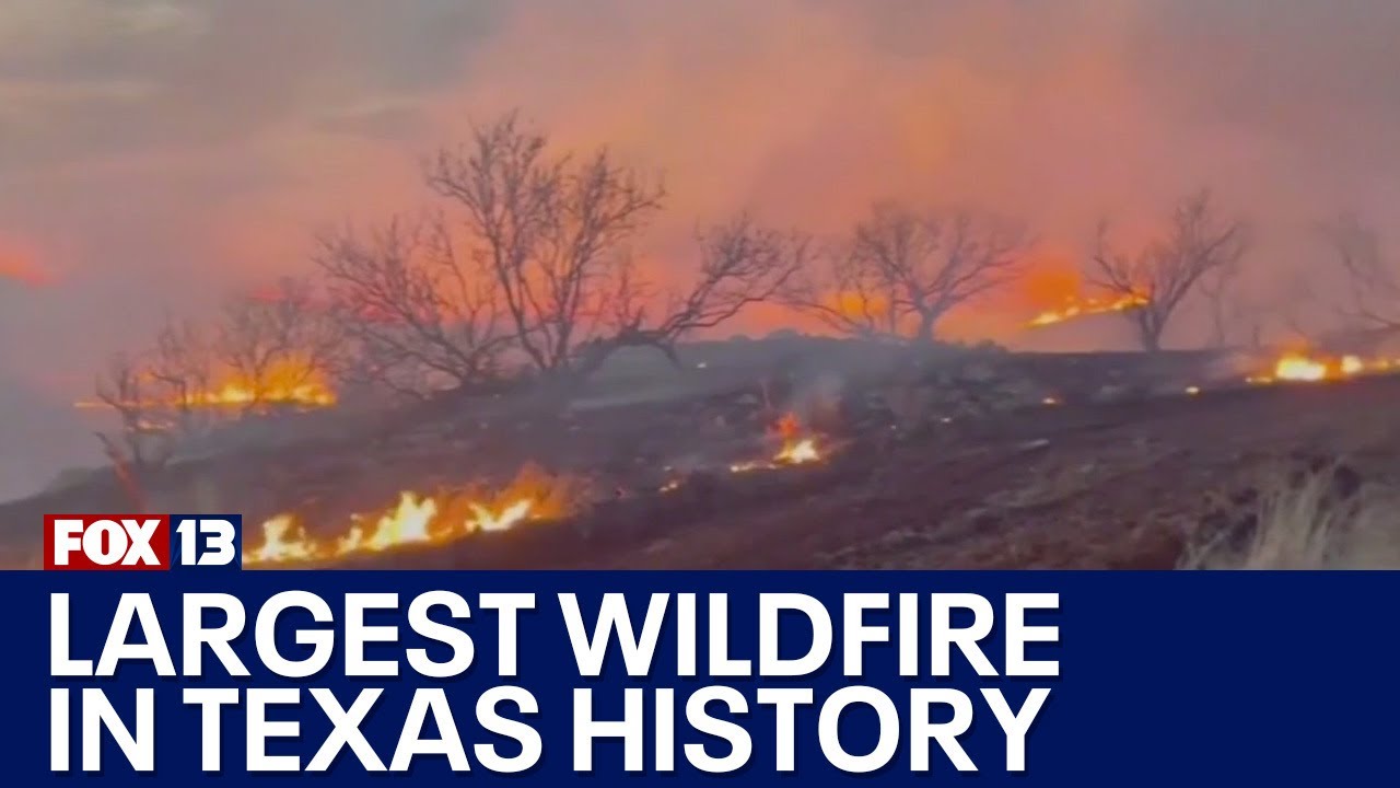 Largest wildfire in Texas history - YouTube