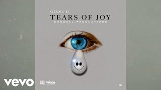 Miniatura del video "Shane O - Tears of Joy"