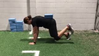 Bear Plank with Hip Extension