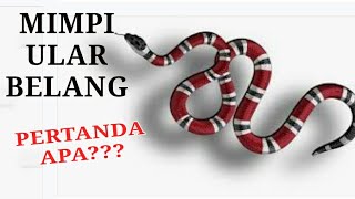 Arti Mimpi Ular Belang ular Weling