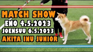 Match Show | Eno & Joensuu | Akita Inu junior | 2023