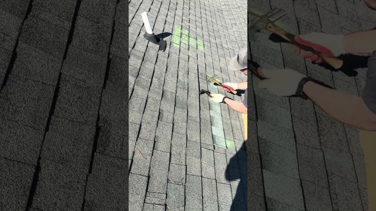 206177407 - Randy Herbert