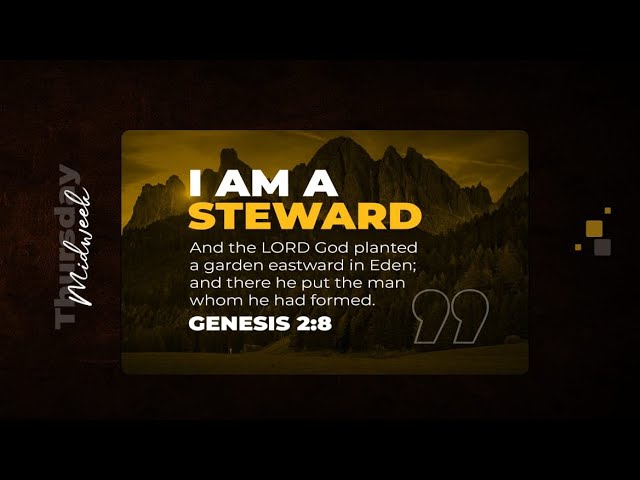 I Am A Steward