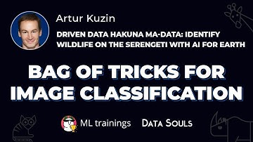 Bag of tricks for image classification — Artur Kuzin