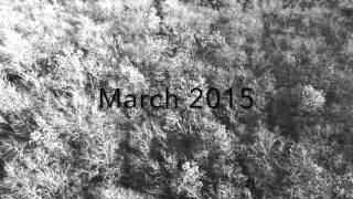 The Many Seasons of Mutual Seasons