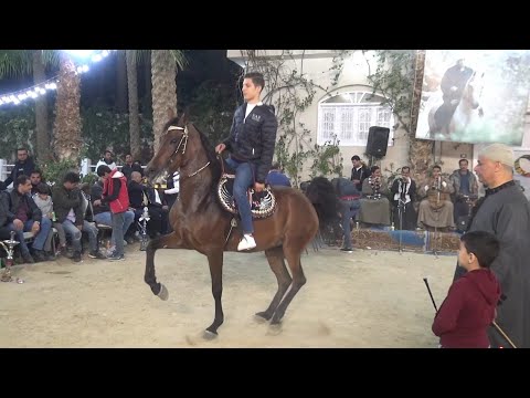 ارزاق الحمزاوي بطلة البحيرة وعبد الرحمن سرحان حفلة دهشور الملكية 2023