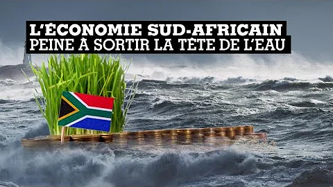 Comment est l'économie de l'Afrique du Sud ?