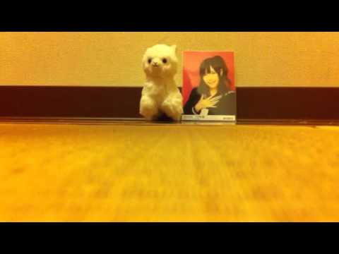 AKB48 生写真開封動画10年桜、神開封