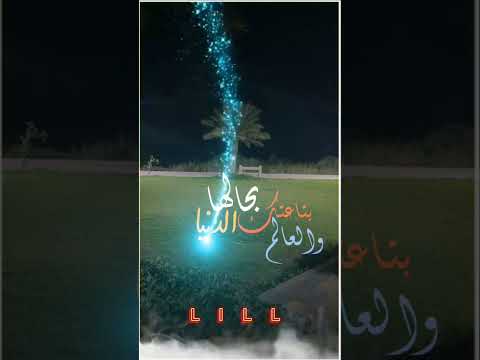 أنت أسد أنت الإنجاز