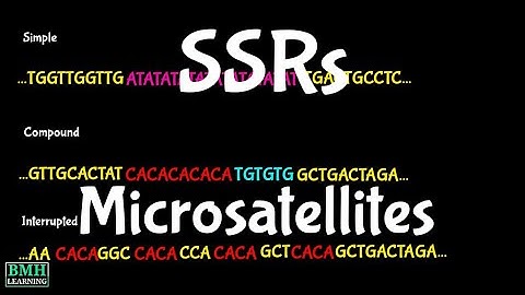 SSR | Simple Sequence Repeat | Microsatellites | Molecular Markers |