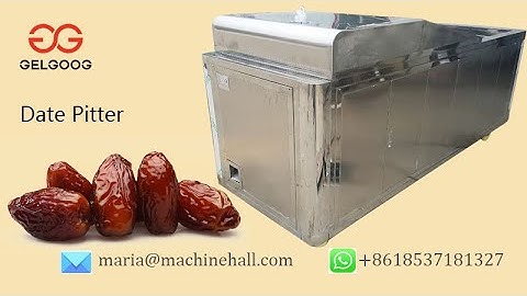 Industrial Palm Date Seeds Remove Machine Hot Sale