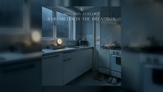 Benjamin Aurelius - Barometer In The Breadbox (Copyright Free) screenshot 3