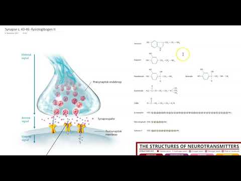 Video: Hvordan Identifisere Mindre Klausulmedlemmer