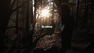 „Вирій почуттів… і очікування літа“ 🕊️🔥
