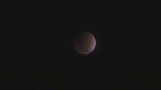 10 Seconds of the Beaver Moon Eclipse Champaign-Urbana IL USA 11/8/22