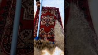 Horrible Dirty Rug Cleaning #shorts #shortvideo #short #satisfyingvideo #asmr #rugcleaning