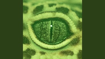 CANNED LAUGHTER IN ME HEAD