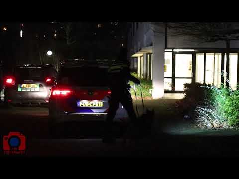 Inbrekers overlopen door beveiliger in Zoetermeer