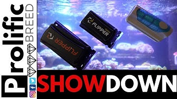 ALGAE SCRAPERS / SCRUBBERS | FLIPPER VS FLIPPER NANO VS GENERIC SCRUBBER