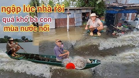 Nước lũ dâng cao..ngập lúc nhà.lúc trại..Bà con..Mùa nước nổi..An Giang..Lũ thượng nguồn Campuchia