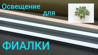 Как ПРОСТО сделать освещение для фиалок? Как выбрать лампу?