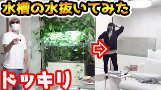 水槽の水全部抜いて空にしてみたドッキリ【ラファエル】