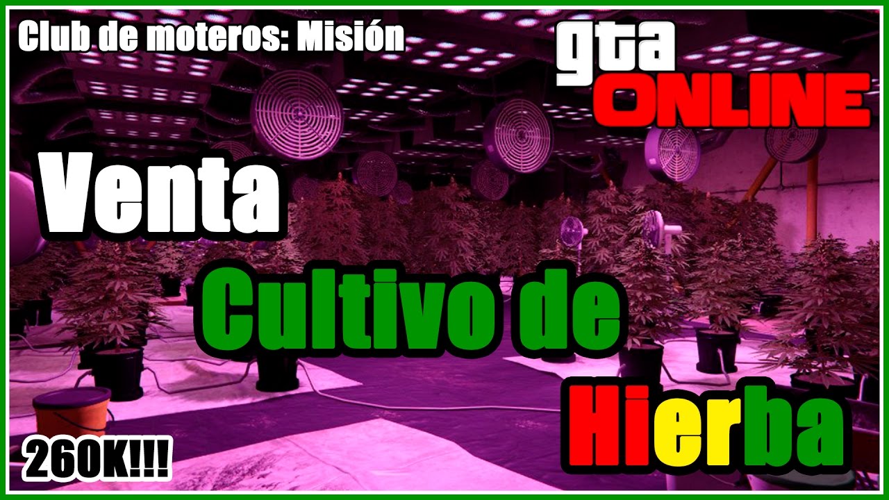 GTA 5 Online: Moteros Misión de Venta 