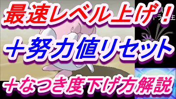 サンムーンリセット方法